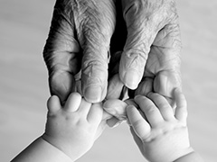 hands